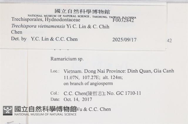 登錄號:F0032842藏品圖，第4張