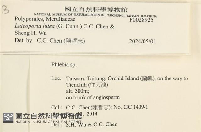 登錄號:F0028925藏品圖，第5張