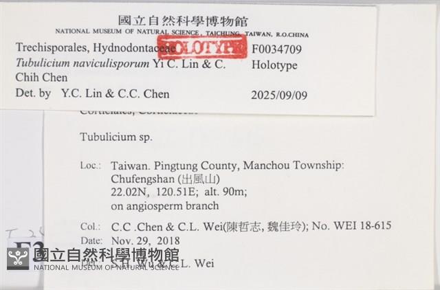 登錄號:F0034709藏品圖，第4張