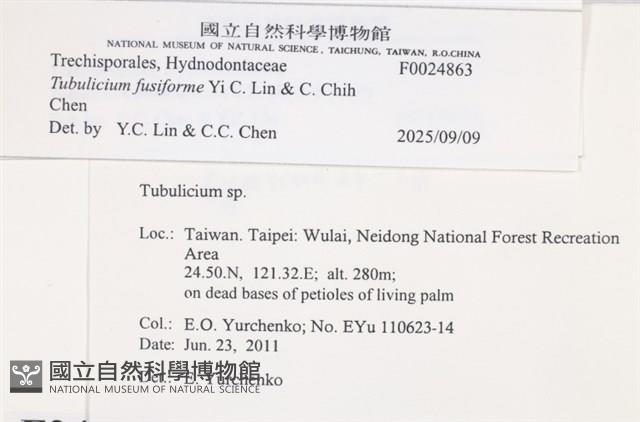 登錄號:F0024863藏品圖，第5張