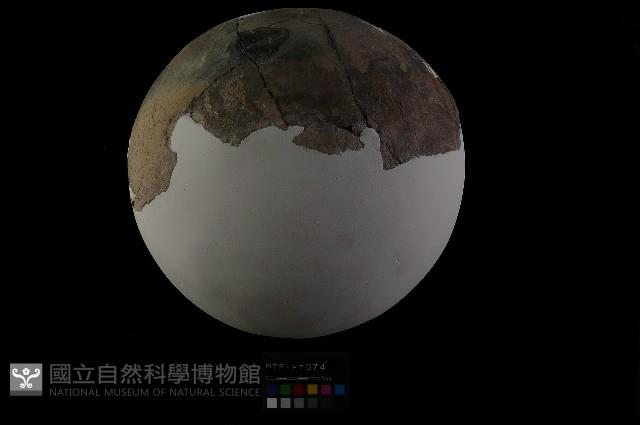 陶罐藏品圖，第10張