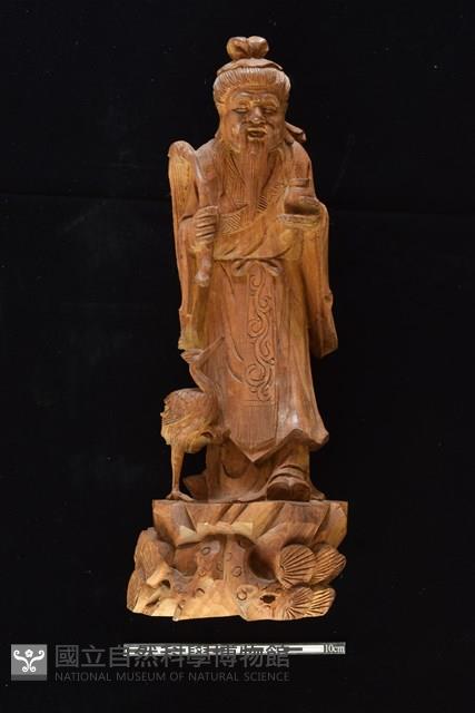 南極仙翁藏品圖，第1張