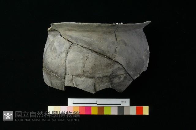 陶罐藏品圖，第1張