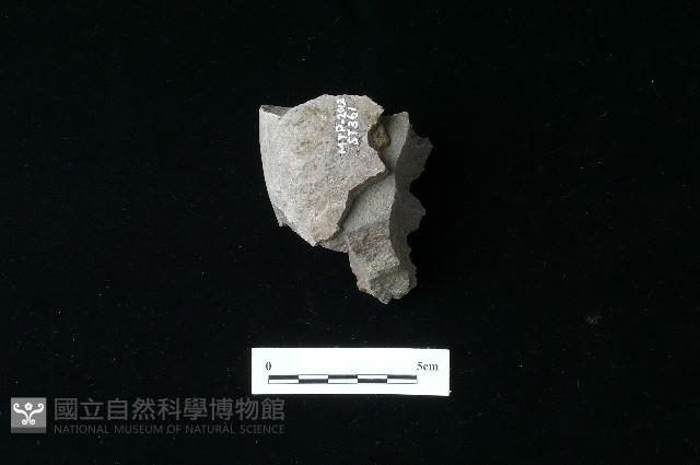 石材藏品圖，第2張