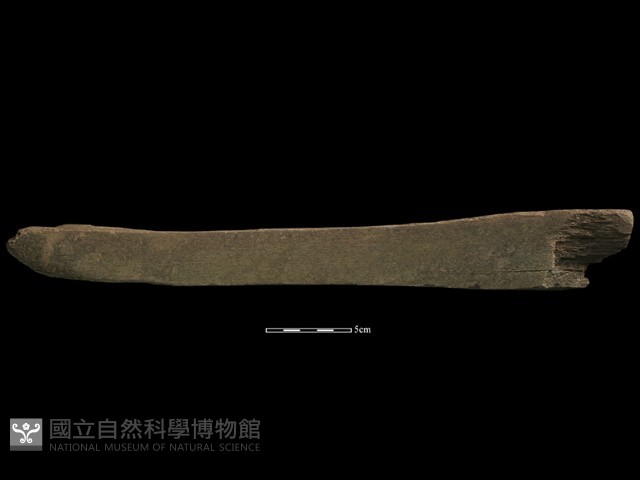 砥石藏品圖，第1張