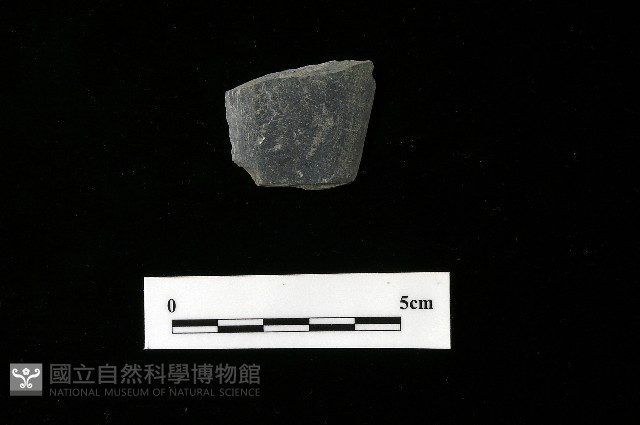 矛鏃形器藏品圖，第2張