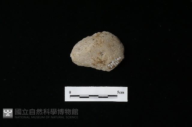 石片器藏品圖，第1張