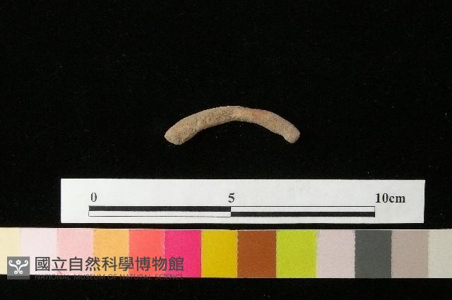 陶環藏品圖，第1張