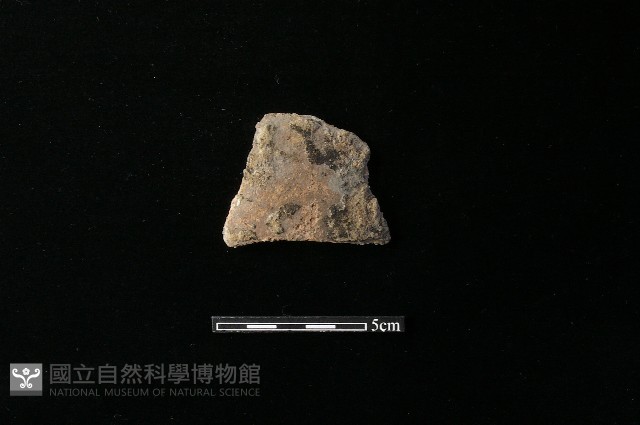 陶片藏品圖，第1張