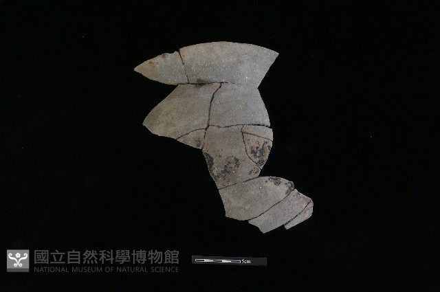 陶罐藏品圖，第2張