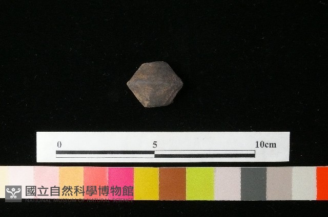 紡輪藏品圖，第1張