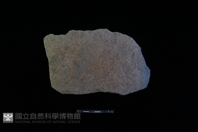 陶片藏品圖，第2張