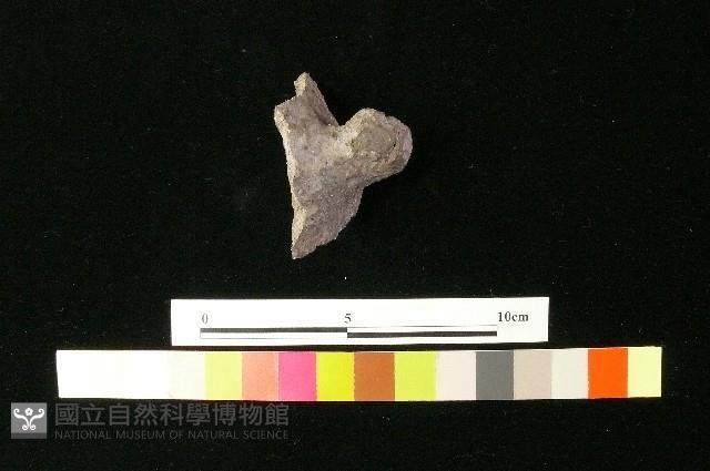 陶鈕藏品圖，第1張