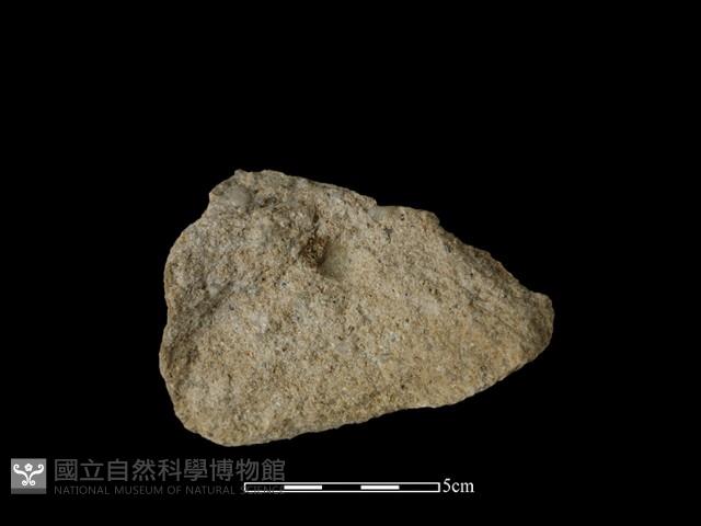 石材藏品圖，第1張