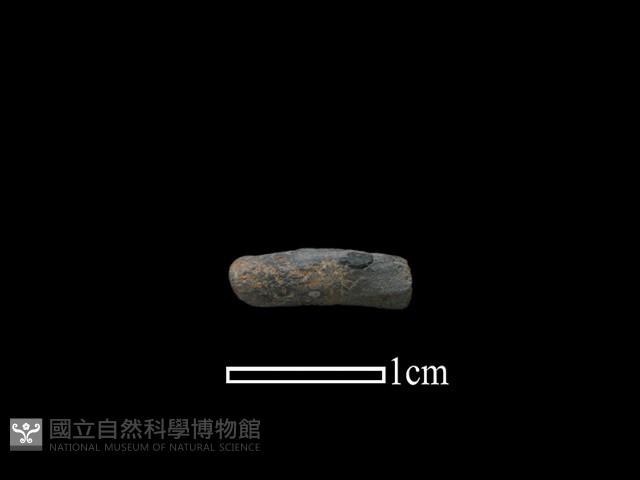 陶環藏品圖，第1張