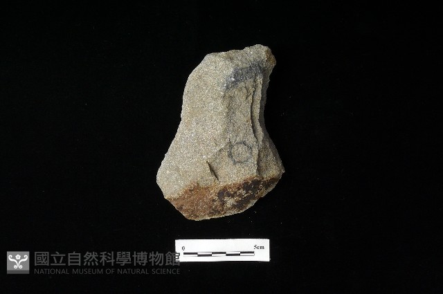 斧鋤形器藏品圖，第1張