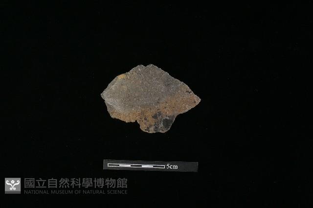 陶片藏品圖，第2張