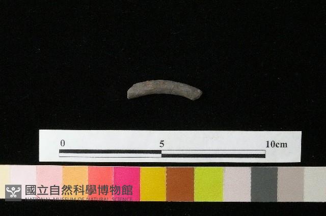 陶環藏品圖，第1張