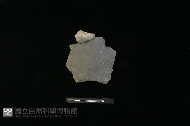 陶片藏品圖，第2張