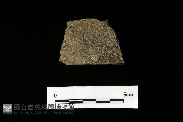 磨製斧鋤形器藏品圖，第1張