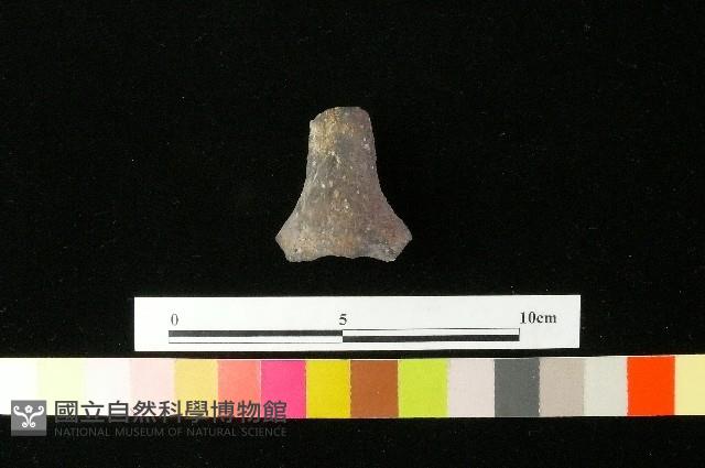 Accession Number:MTP-2012-PT163 Collection Image, Figure 1, Total 3 Figures