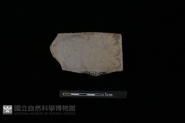 陶罐藏品圖，第2張