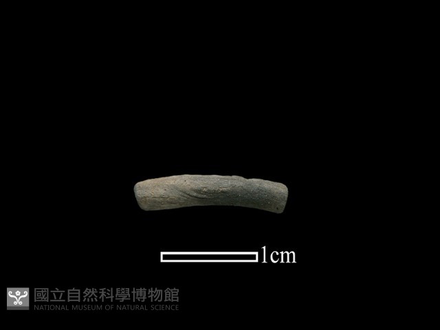 陶環藏品圖，第1張