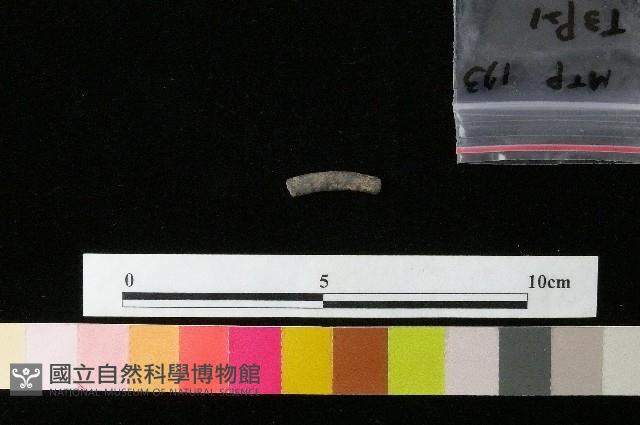 陶環藏品圖，第1張