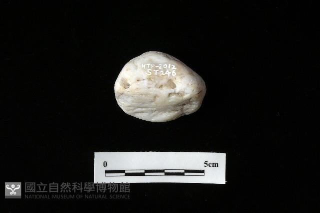 打火石藏品圖，第2張