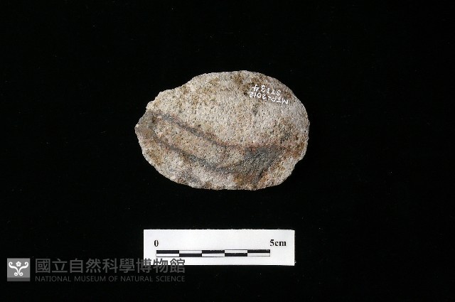 石片器藏品圖，第2張