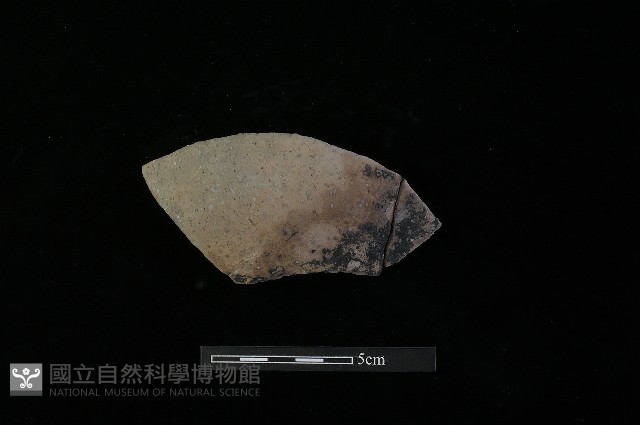 陶片藏品圖，第1張
