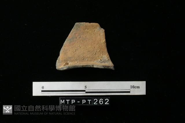 Accession Number:MTP-2012-PT262 Collection Image, Figure 2, Total 2 Figures