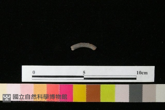 陶環藏品圖，第1張