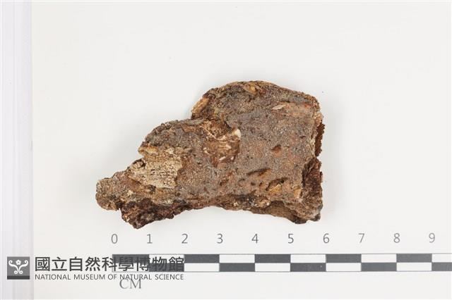 館號:F0035668藏品圖，第1張