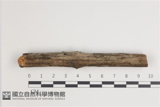 登錄號:F0035468藏品圖，第1張