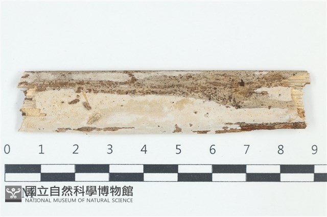 登錄號:F0039168藏品圖，第1張
