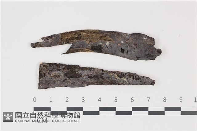 登錄號:F0035228藏品圖，第1張