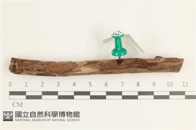 登錄號:F0038428藏品圖，第1張