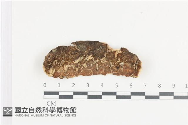 登錄號:F0036428藏品圖，第1張