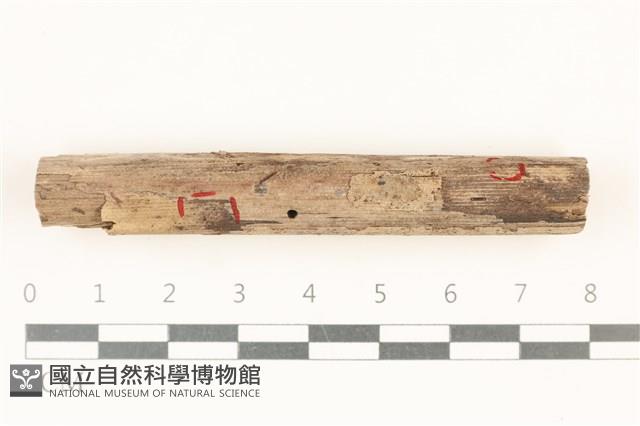 登錄號:F0037728藏品圖，第1張