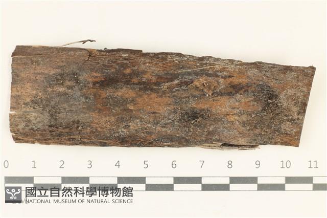 登錄號:F0038128藏品圖，第1張