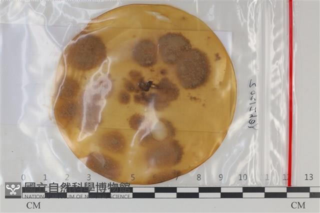 登錄號:F0035208藏品圖，第1張