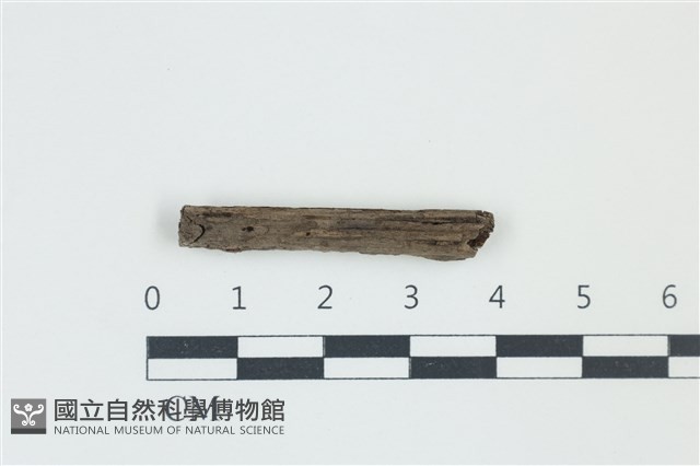 登錄號:F0038908藏品圖，第1張