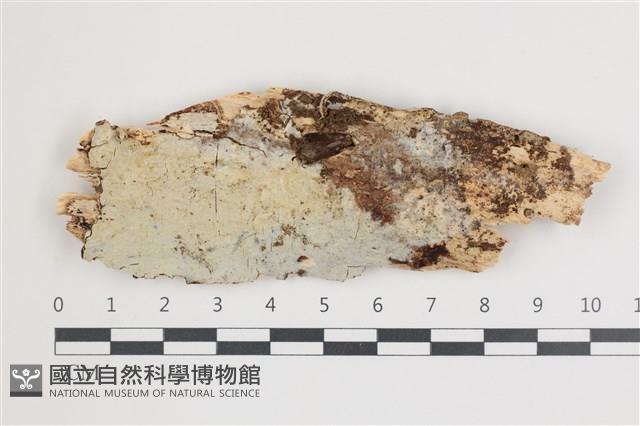 登錄號:F0035908藏品圖，第1張