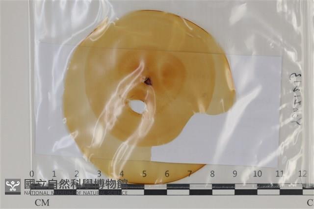 登錄號:F0035218藏品圖，第1張