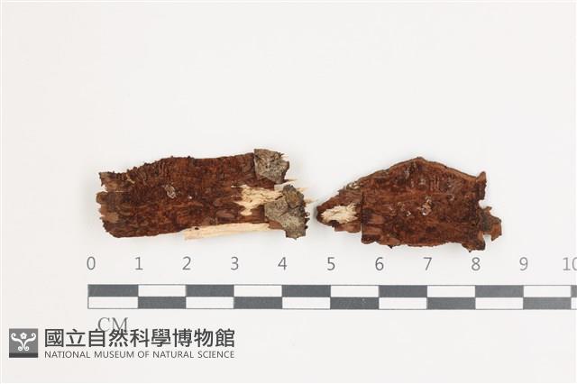 登錄號:F0035918藏品圖，第1張
