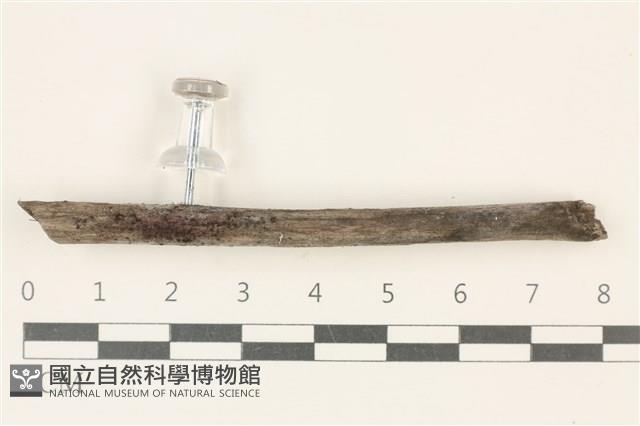 登錄號:F0037718藏品圖，第1張