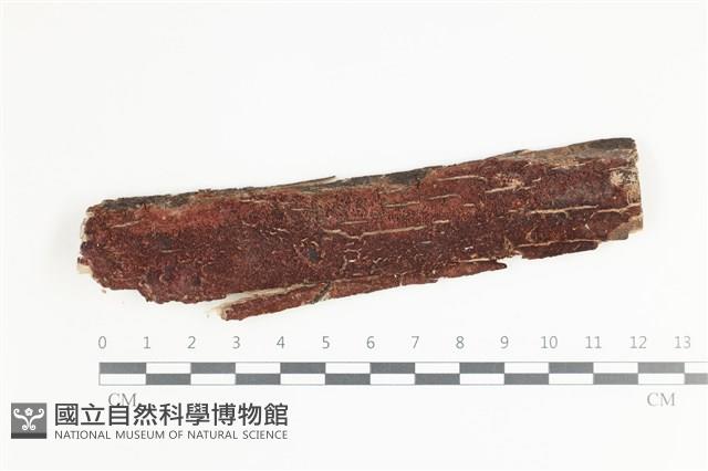 登錄號:F0035718藏品圖，第1張