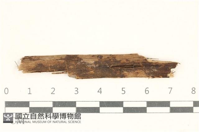 登錄號:F0038118藏品圖，第1張
