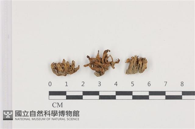 Accession Number:F0036118 Collection Image, Figure 1, Total 2 Figures